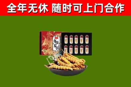 汤阴回收冬虫夏草价格