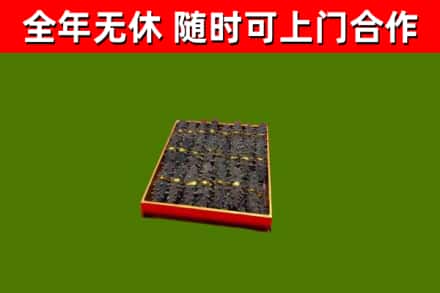 汤阴烟酒回收海参.jpg